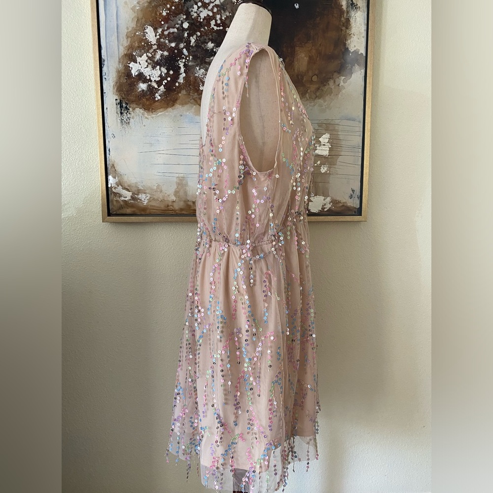 Southern fried chics sparkly fringed sequined dress size XXL NWOT - Picture 5 of 7